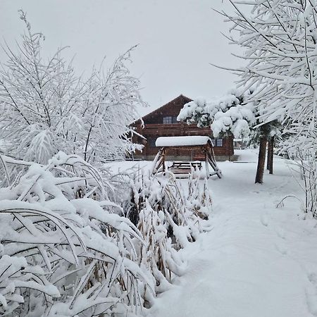 瓦特拉多梅Casa De Munte别墅 外观 照片